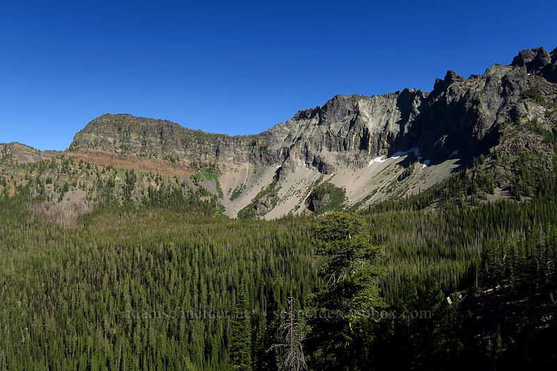 Strawberry Basin [Strawberry Basin Trail, Strawberry Mountain Wilderness, Grant County, Oregon]