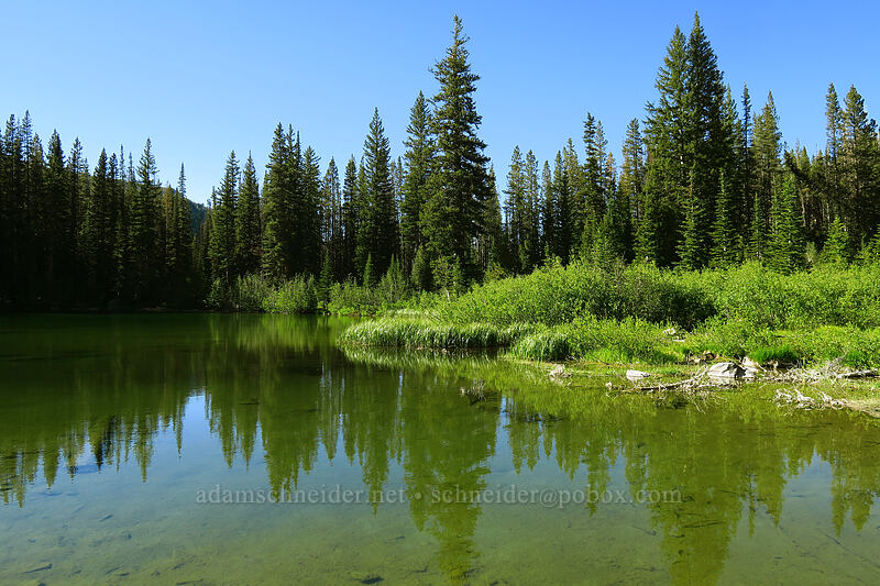 Little Strawberry Lake [Little Strawberry Lake, Strawberry Mountain Wilderness, Grant County, Oregon]