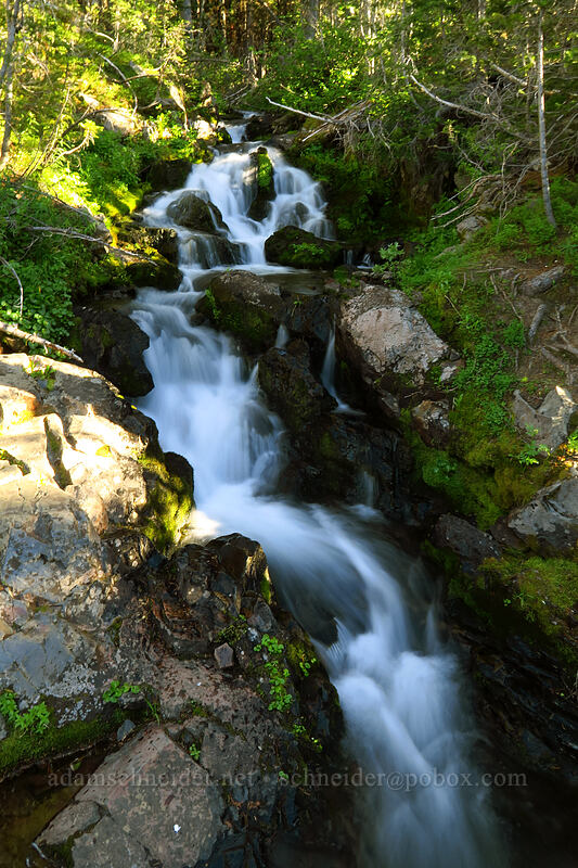 Strawberry Creek [Little Strawberry Trail, Strawberry Mountain Wilderness, Grant County, Oregon]