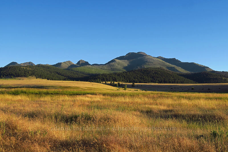 Strawberry Mountains [Strawberry Road, Grant County, Oregon]