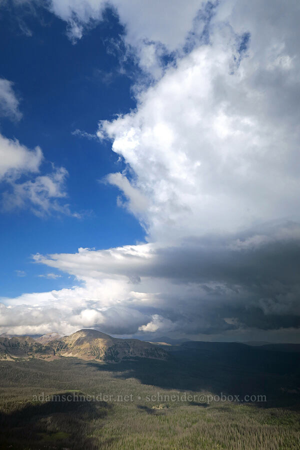 thunderstorms over Mt. Agassiz [Bald Mountain Trail, Uinta-Wasatch-Cache National Forest, Summit County, Utah]