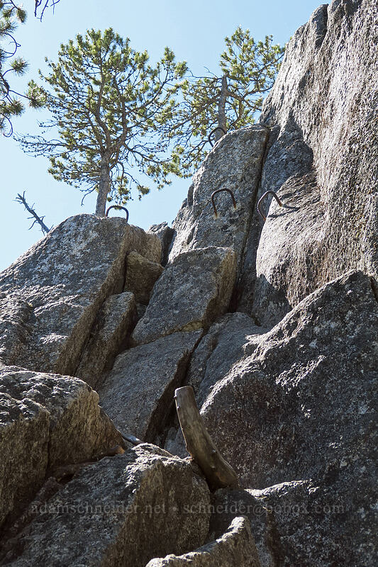 climber's trail [Stawamus Chief Mountain, Stawamus Chief Provincial Park, British Columbia, Canada]