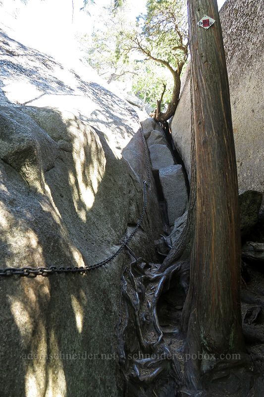 fixed chains [Second Peak, Stawamus Chief Provincial Park, British Columbia, Canada]