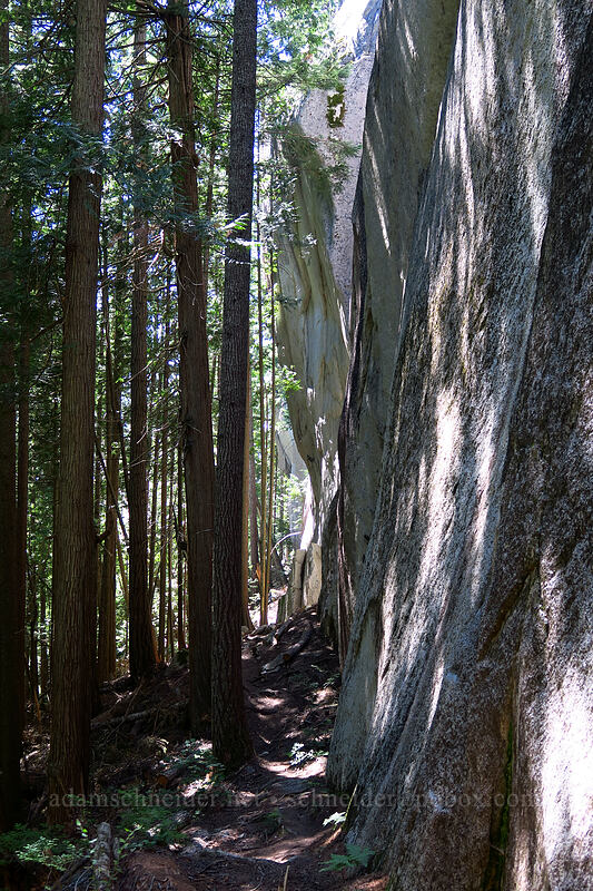 granite cliffs [Slhanay Trail, Stawamus Chief Provincial Park, British Columbia, Canada]