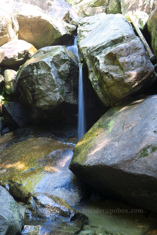 Oleson Creek [Chief Peaks Trail, Stawamus Chief Provincial Park, British Columbia, Canada]