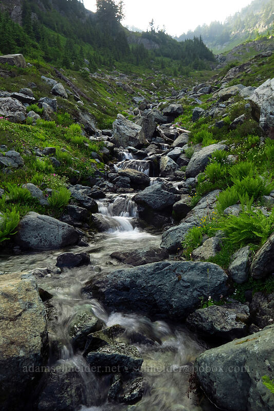 flowy water [Chain Lakes Trail, Mount Baker Wilderness, Whatcom County, Washington]
