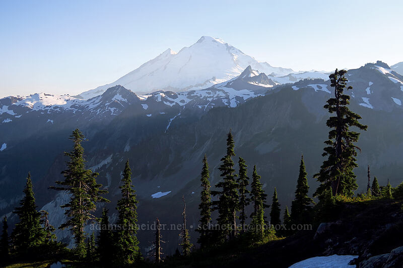 Mt. Baker [Artist Ridge Trail, Mount Baker-Snoqualmie National Forest, Whatcom County, Washington]