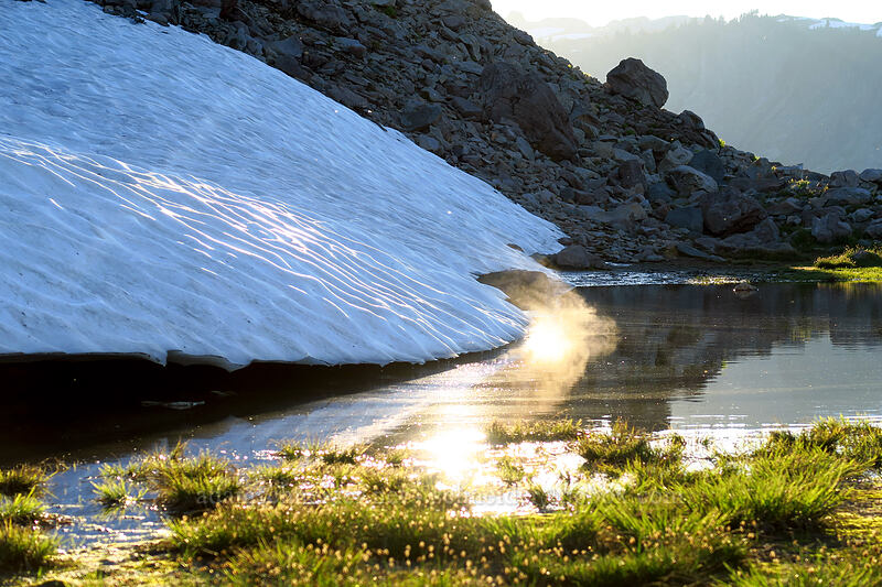 breathing snowfield [Artist Ridge Trail, Mount Baker-Snoqualmie National Forest, Whatcom County, Washington]