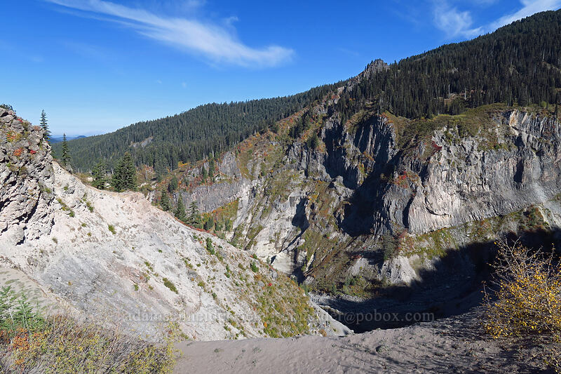Sandy River Canyon [Pacific Crest Trail, Mt. Hood Wilderness, Clackamas County, Oregon]