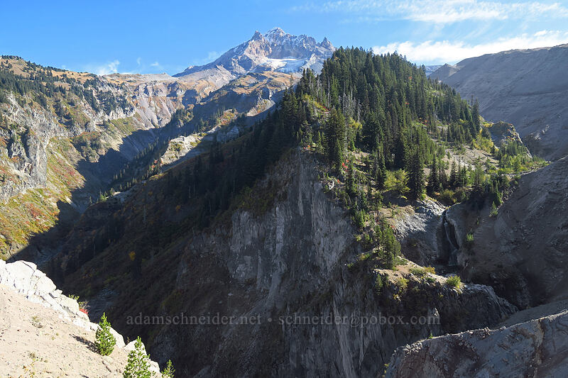ridge between Sandy River & Paradise Branch [Pacific Crest Trail, Mt. Hood Wilderness, Clackamas County, Oregon]