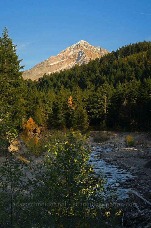 Mount Hood & the Sandy River [Sandy River Trail, Mt. Hood National Forest, Clackamas County, Oregon]