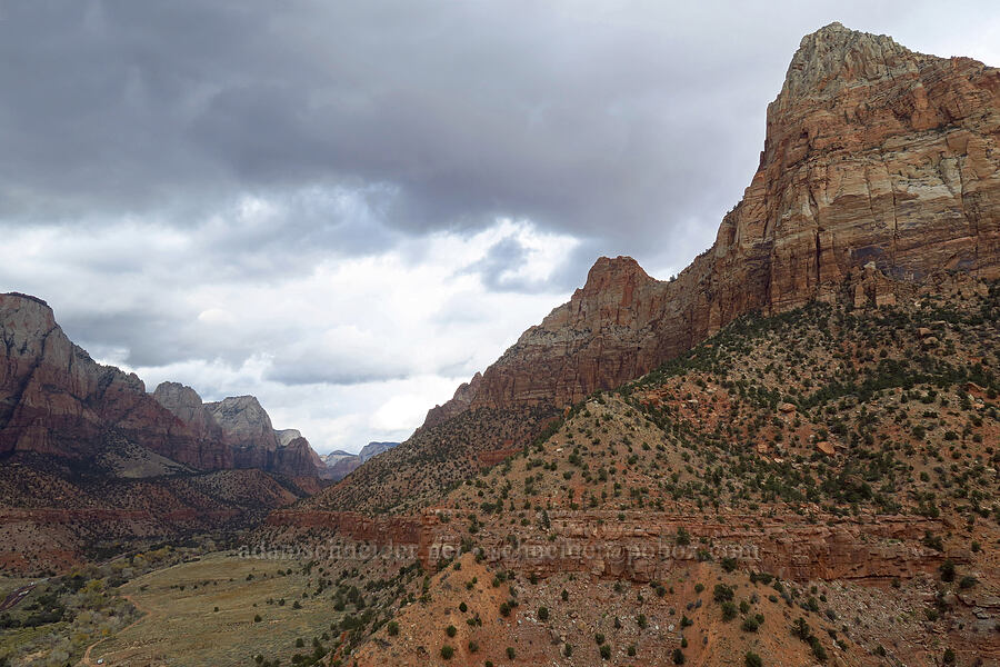 Zion Canyon & Bridge Mountain [Watchman Trail, Zion National Park, Washington County, Utah]