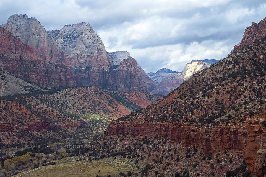 Zion Canyon [Watchman Trail, Zion National Park, Washington County, Utah]