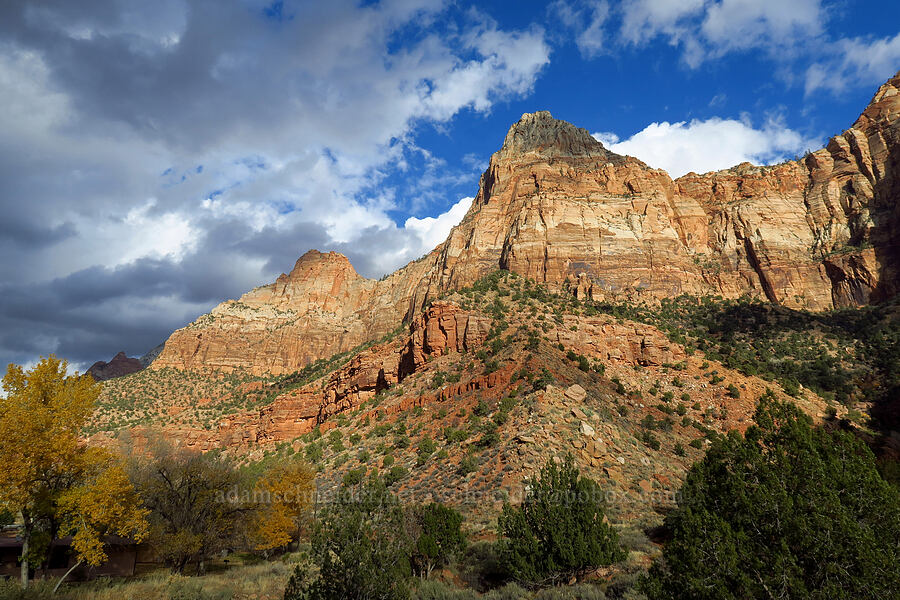 Bridge Mountain [Watchman Trail, Zion National Park, Washington County, Utah]
