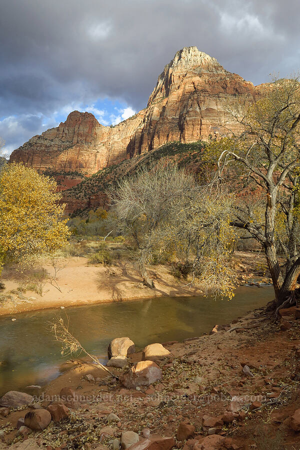 Bridge Mountain & Virgin River [Watchman Trail, Zion National Park, Washington County, Utah]