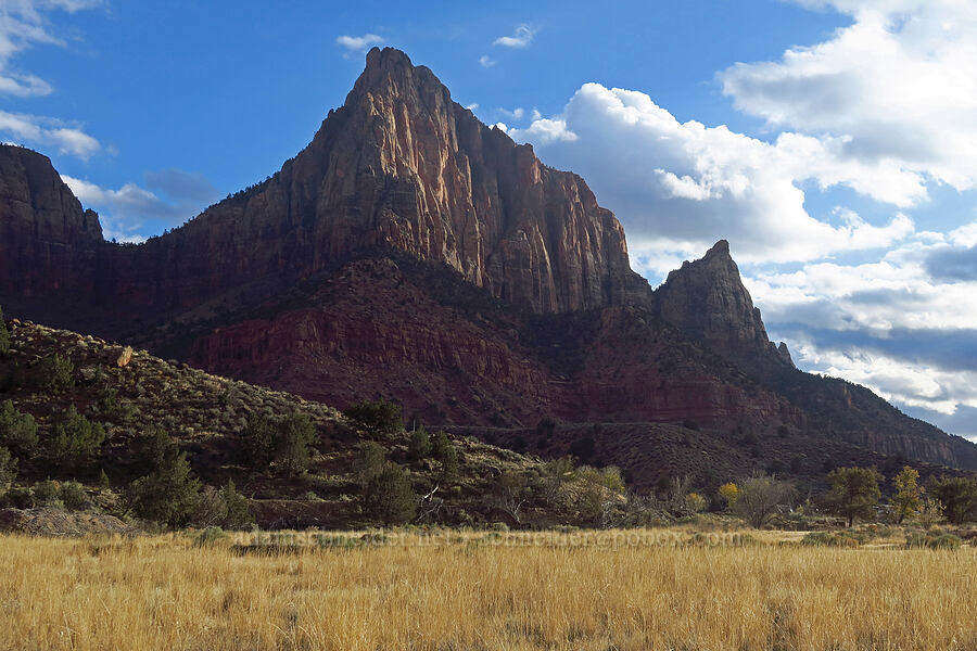 The Watchman [Watchman Trail, Zion National Park, Washington County, Utah]