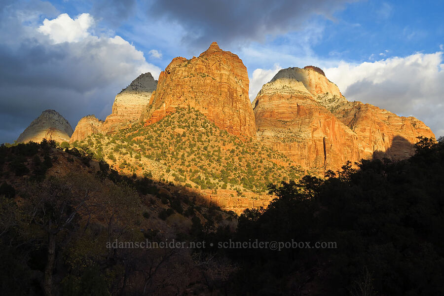 Mt. Spry, East Temple, Twin Brothers, & Mountain of the Sun [Canyon Junction, Zion National Park, Washington County, Utah]