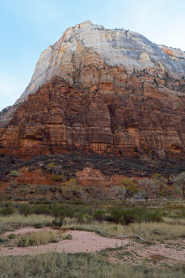 The Great White Throne [West Rim Trail, Zion National Park, Washington County, Utah]