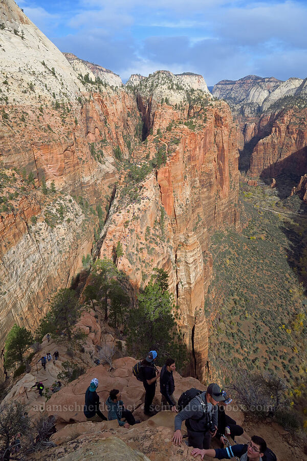 east side of Angel's Landing [Angel's Landing, Zion National Park, Washington County, Utah]