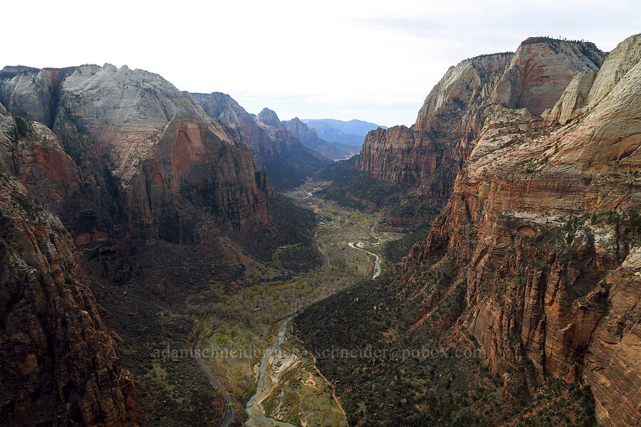 Lower Zion Canyon [Angel's Landing, Zion National Park, Washington County, Utah]