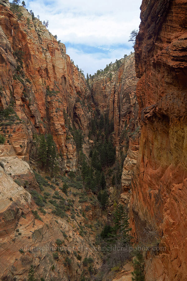 Refrigerator Canyon [West Rim Trail, Zion National Park, Washington County, Utah]