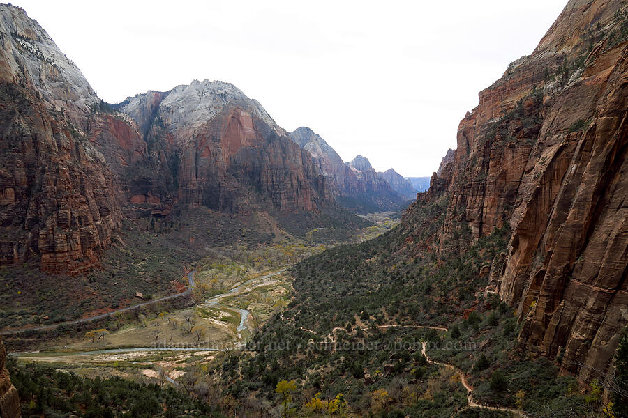 Lower Zion Canyon [West Rim Trail, Zion National Park, Washington County, Utah]