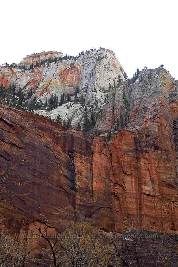 Temple of Sinawava [Temple of Sinawava, Zion National Park, Washington County, Utah]