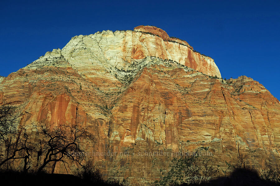 The East Temple [Zion-Mt. Carmel Highway, Zion National Park, Washington County, Utah]