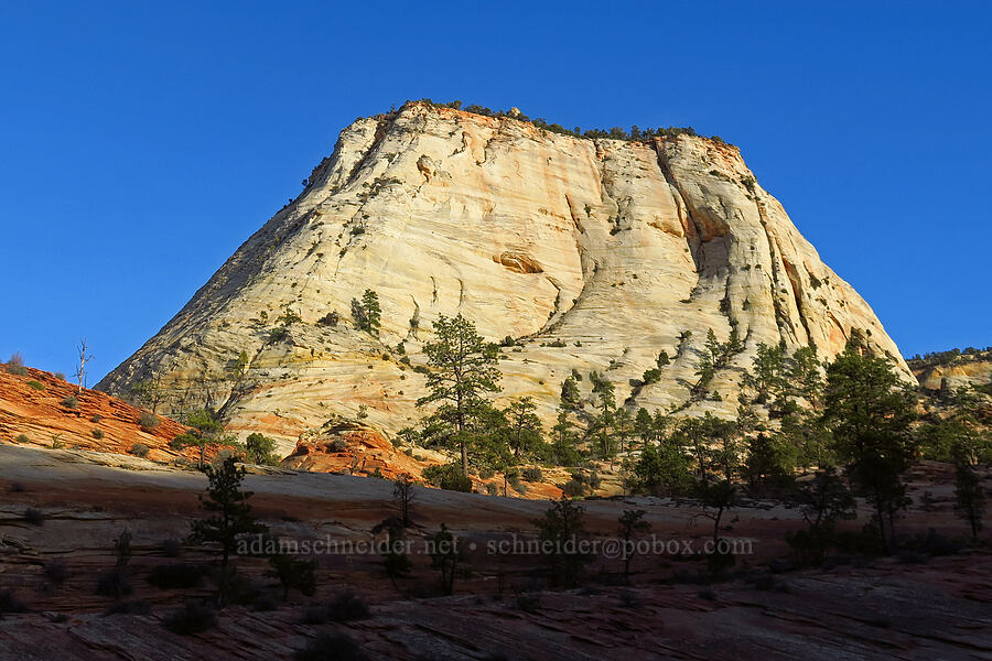 White Cliffs [Zion-Mt. Carmel Highway, Zion National Park, Washington County, Utah]