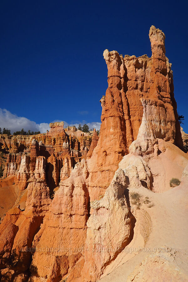 hoodoos [Queen's Garden Trail, Bryce Canyon National Park, Garfield County, Utah]