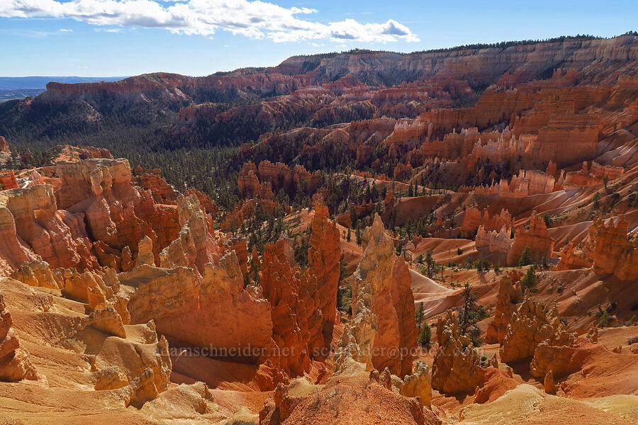 Bryce Amphitheater [Sunrise Point, Bryce Canyon National Park, Garfield County, Utah]