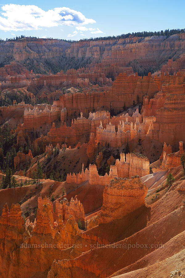 Bryce Amphitheater [Rim Trail, Bryce Canyon National Park, Garfield County, Utah]