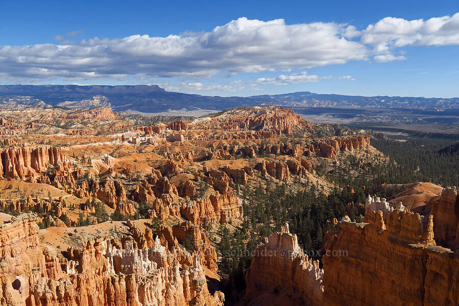 Bryce Amphitheater [Sunset Point, Bryce Canyon National Park, Garfield County, Utah]