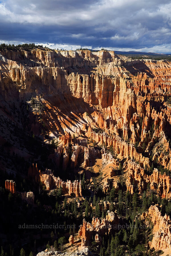Wall of Windows [Bryce Point, Bryce Canyon National Park, Garfield County, Utah]