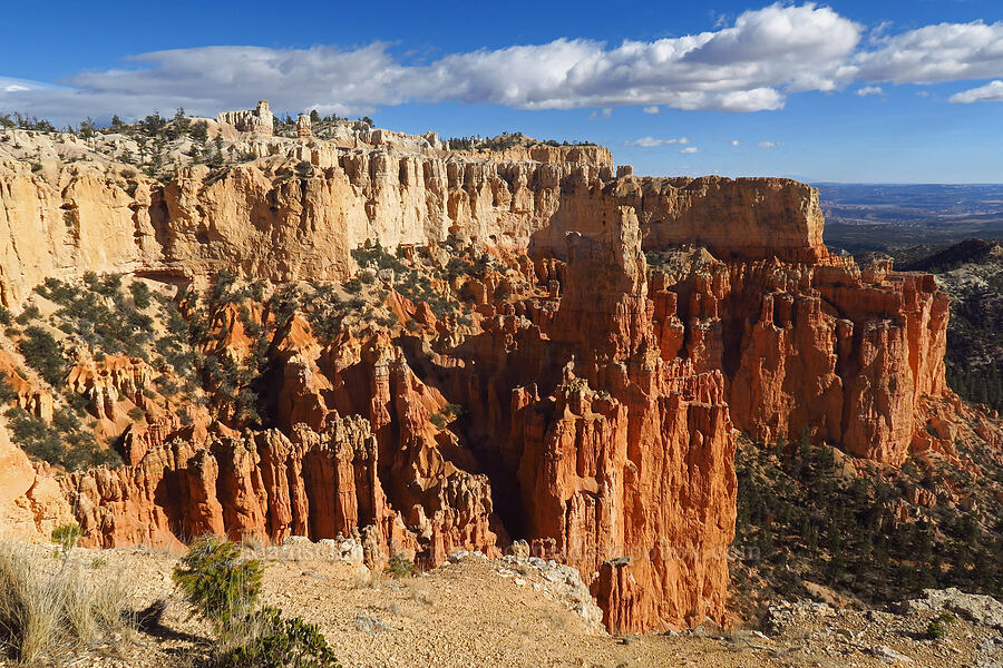 Yellow Creek Canyon [Paria View, Bryce Canyon National Park, Garfield County, Utah]