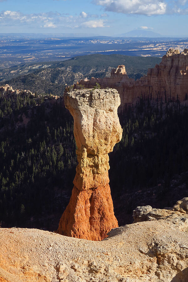 The Hunter [Agua Canyon Overlook, Bryce Canyon National Park, Kane County, Utah]
