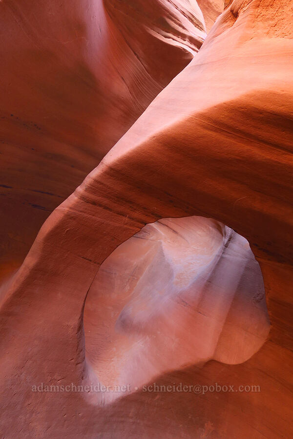 sandstone arch [Peek-A-Boo Slot Canyon, Grand Staircase-Escalante National Monument, Kane County, Utah]