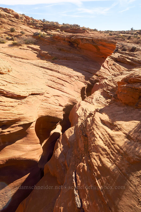 roof of Peek-A-Boo Canyon [Peek-A-Boo Slot Canyon, Grand Staircase-Escalante National Monument, Kane County, Utah]