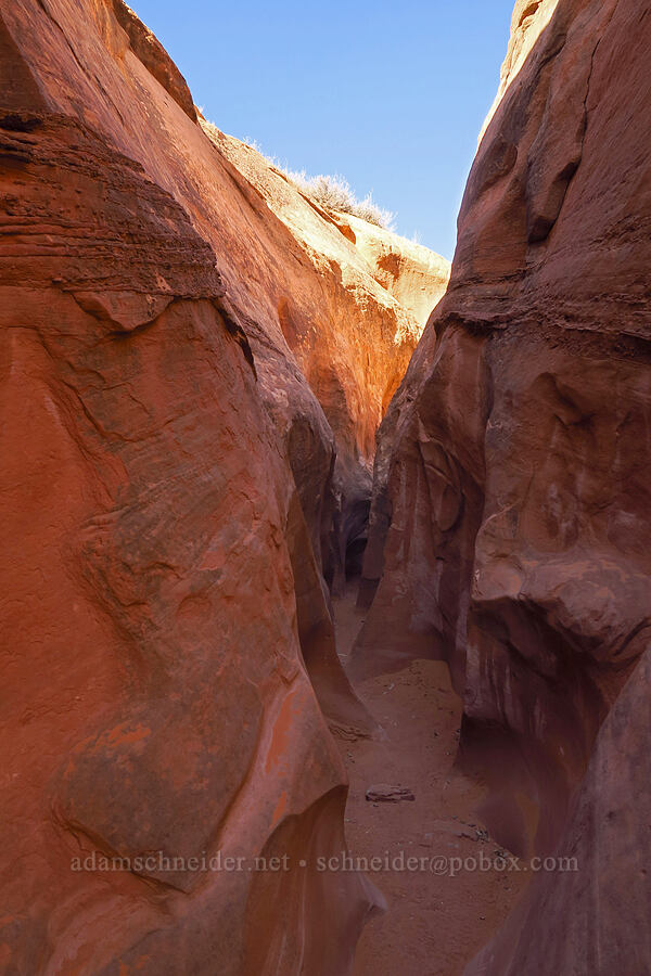 sandstone [Peek-A-Boo Slot Canyon, Grand Staircase-Escalante National Monument, Kane County, Utah]