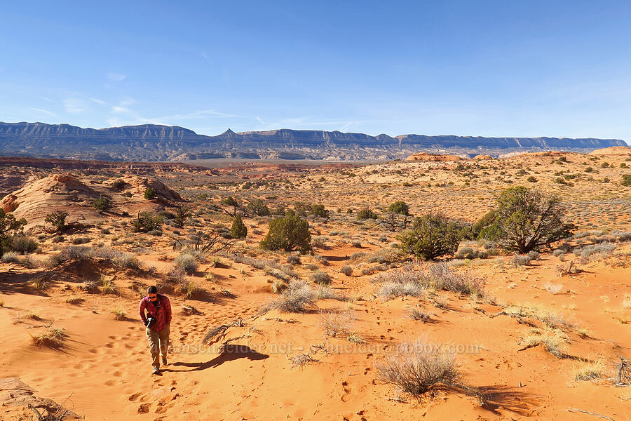 Straight Cliffs & desert [between Peek-A-Boo & Spooky Gulches, Grand Staircase-Escalante National Monument, Kane County, Utah]