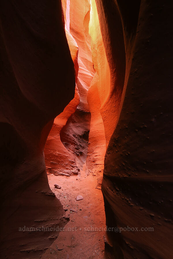 sandstone walls [Spooky Slot Canyon, Grand Staircase-Escalante National Monument, Kane County, Utah]