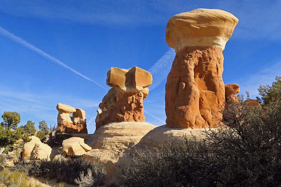 hoodoos [Devil's Garden, Grand Staircase-Escalante National Monument, Garfield County, Utah]