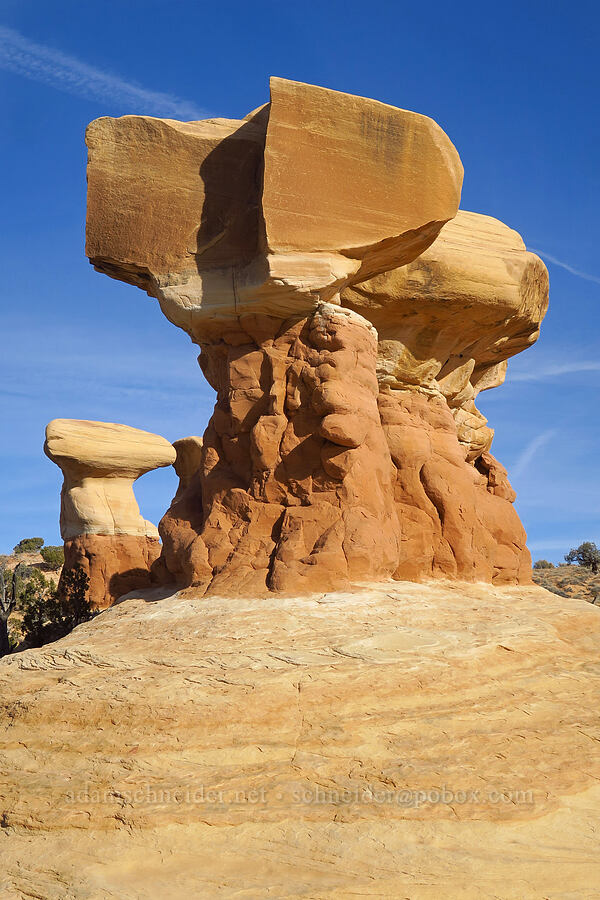 hoodoos [Devil's Garden, Grand Staircase-Escalante National Monument, Garfield County, Utah]