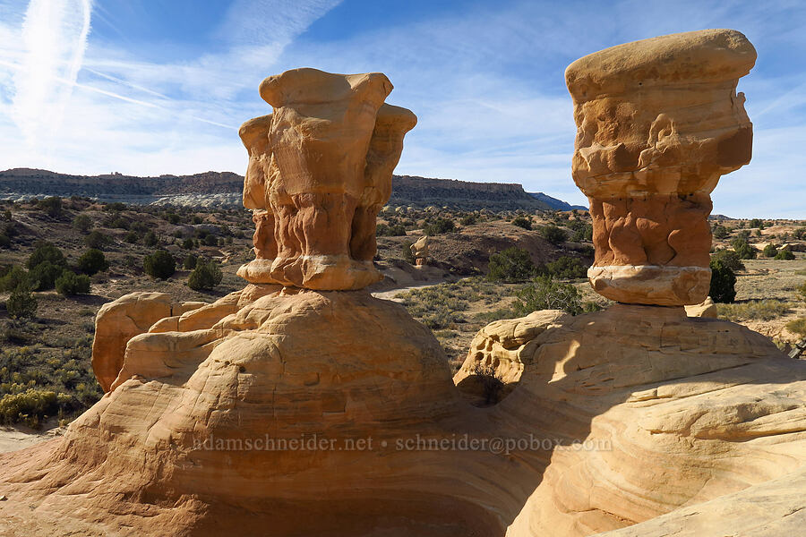 hoodoos [Devil's Garden, Grand Staircase-Escalante National Monument, Garfield County, Utah]