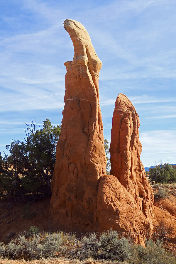 hoodoos [Devil's Garden, Grand Staircase-Escalante National Monument, Garfield County, Utah]
