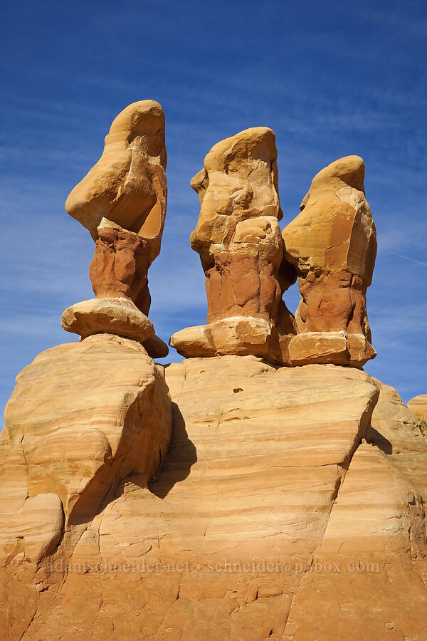 hoodoos [Devil's Garden, Grand Staircase-Escalante National Monument, Garfield County, Utah]