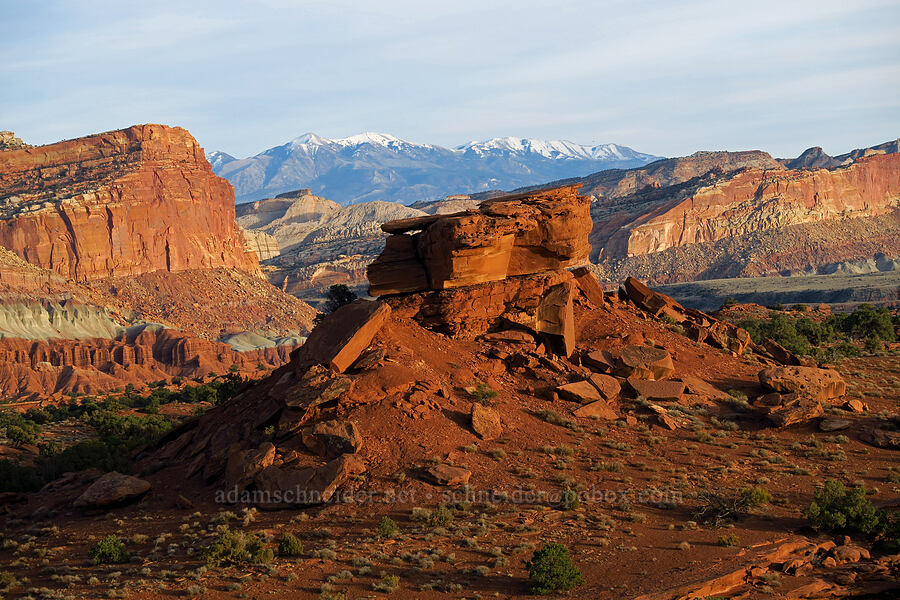 Mount Ellen & red rock [Panorama Point, Capitol Reef National Park, Wayne County, Utah]