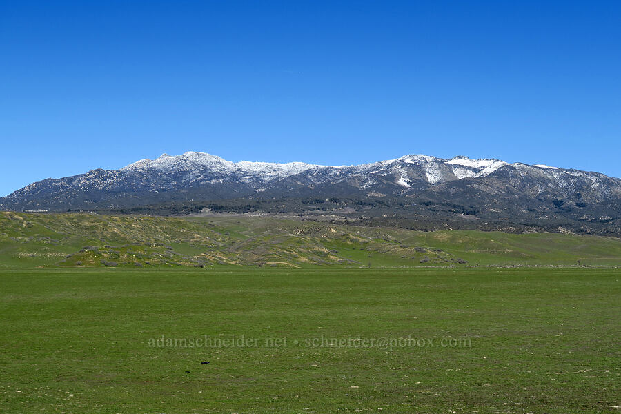 snow on Hot Springs Mountain [San Felipe Road, San Diego County, California]