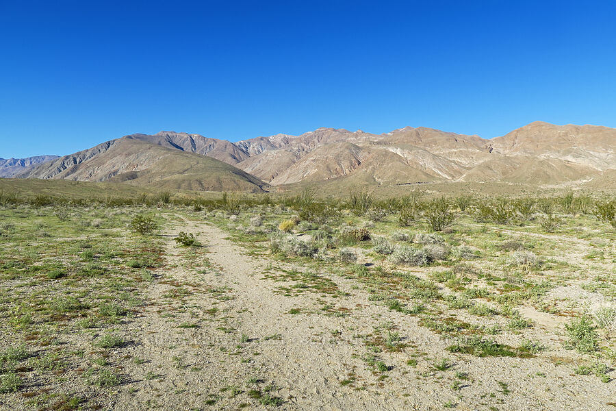 Santa Rosa Mountains [Villager Peak Trail, Anza-Borrego Desert State Park, San Diego County, California]