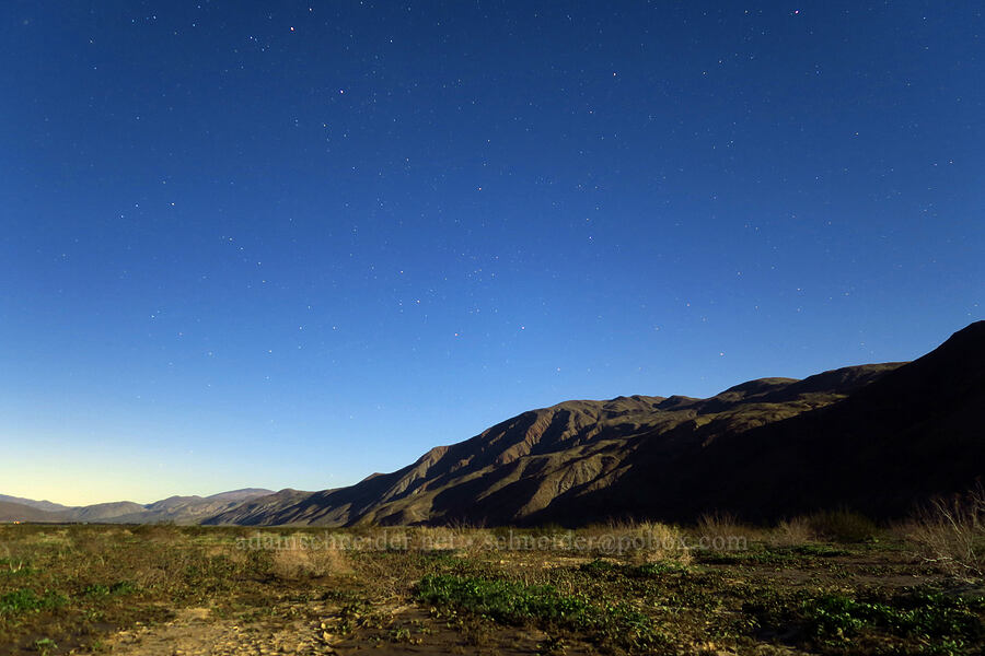 Coyote Mountain in the moonlight [Henderson Canyon Road, Anza-Borrego Desert State Park, San Diego County, California]